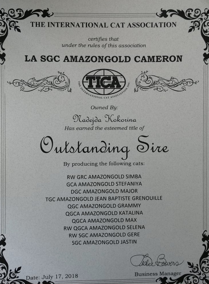 Diploma Outstanding  Sire Amazongold Cameron