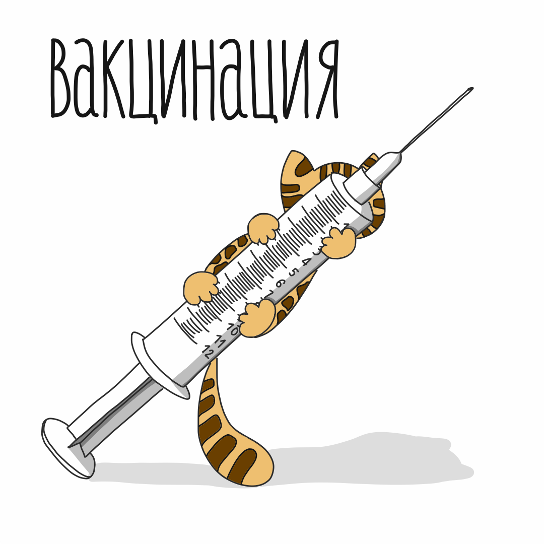 вакцинация кошек